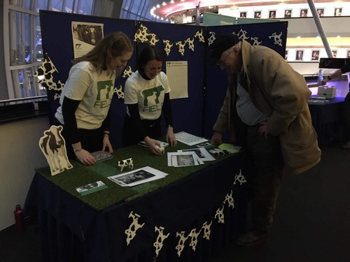 Two woomen stand behind a table covered in artificial grass. A man stands in front of the table pointing to black and white photos displayed on the table. Black and white cow print bunting is displayed at the front of the table and on a wall behind.