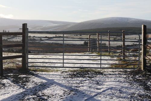 A photograph of a farm gate with evenly spaced horizontal bars. It is photographed on a sunny day with snow on the ground, and the sunlightis a soft white, coming from behind the gate, casting a barred shadow on the ground in the foreground of the image. In the background, round hills emerge from a light cloudy mist.